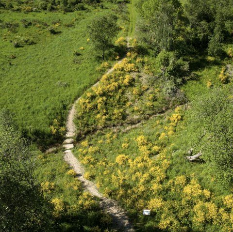 Dreiborner Hochfl&auml;che, &copy; Stadt Schleiden - Dominik Ketz