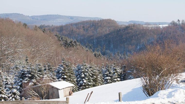 Eine winterliche Landschaft mit schneebedeckten Bäumen und sanften Hügeln. Im Vordergrund steht eine kleine Hütte.
