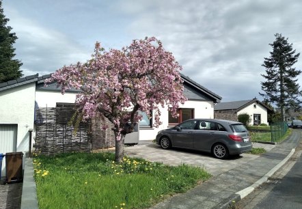 Kirschblüte im Mai, © Gästehaus Eifelsteig & Nordeifel Tourismus GmbH