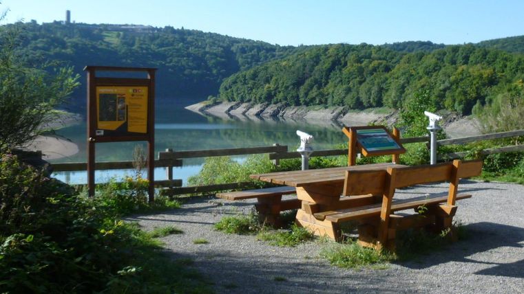 Un point de vue pittoresque au bord de l'eau avec un banc en bois et des informations sur les paysages environnants. L'environnement verdoyant et le lac paisible invitent à la contemplation.