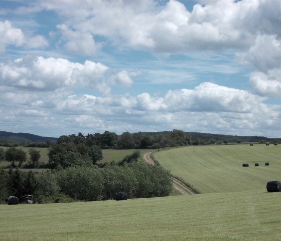 Begeleide wandeling, © Guido Hendle