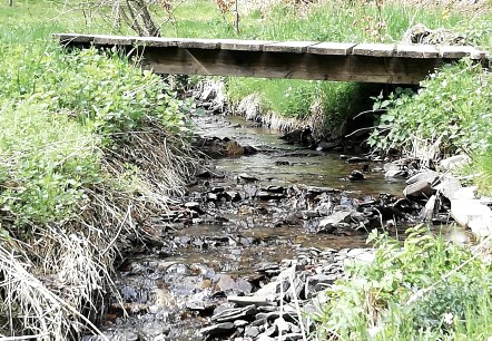 Br&uuml;cke &uuml;ber einen Bach, &copy; Nationalparkseelsorge Vogelsang