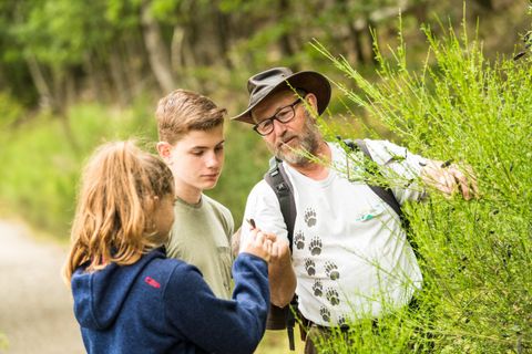 Ein Naturführer zeigt zwei Kinder Pflanzen im Wald. Sie beobachten aufmerksam und lernen mehr über die Natur.