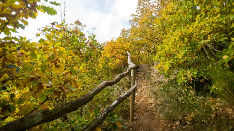 Ein schmaler, steiniger Pfad führt durch herbstlich gefärbte Bäume, gesäumt von einem rustikalen Holzgeländer.