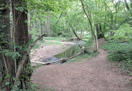 Mission Kraft Sch&ouml;pfen, &copy; Seelsorge in Nationalpark Eifel und Vogelsang