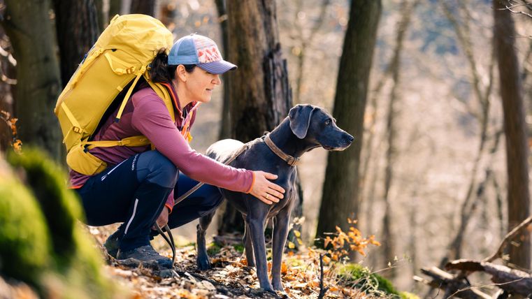 Notenschlüssel mit Noten