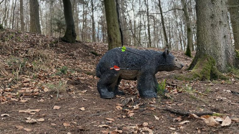 Een berenstandbeeld staat in het bos op de grond. De achtergrond toont bomen en droog loof.