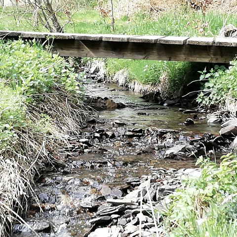 Br&uuml;cke &uuml;ber einen Bach, &copy; Nationalparkseelsorge Vogelsang