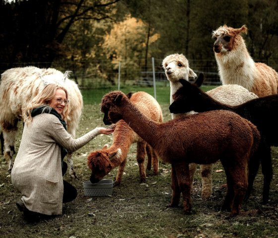 Alpakas, &copy; J. Samans