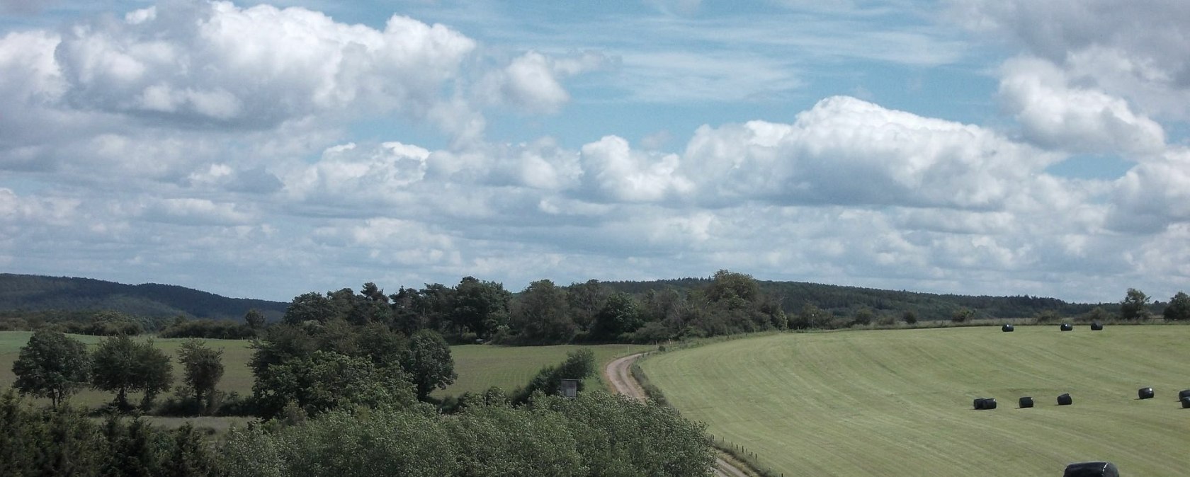 Begeleide wandeling, © Guido Hendle