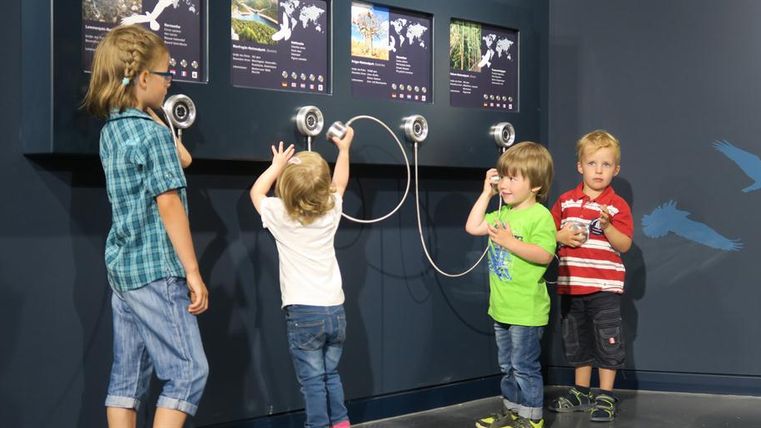 Vier Kinder stehen an einer interaktiven Anzeigetafel. Sie hören sich Informationen über verschiedene Naturgebiete an.