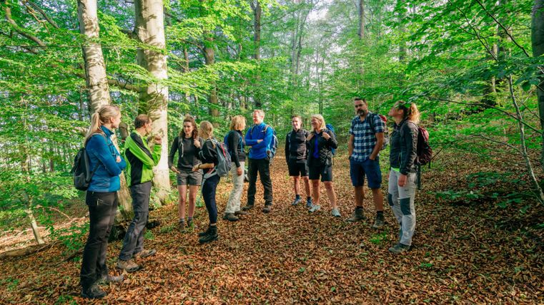 Eine Gruppe von Menschen steht im Wald und spricht miteinander. Um sie herum sind hohe Bäume und das bunte Laub auf dem Boden.