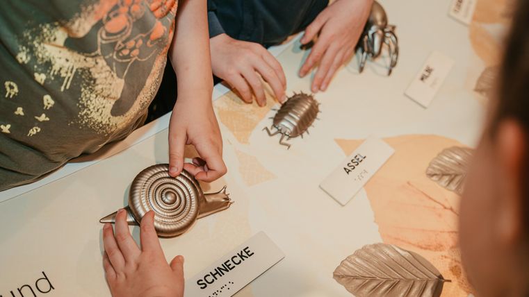 Ein Modell einer kleinen Schnecke stark vergrößert, so das man es ertasten kann. daneben eine Kellerassel und andere Kleinlebewesen zum ertasten. Unter der Schnecke steht Schecke, auch in Breilschrift.
