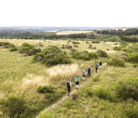 Plateau de Dreiborn, © Nationalpark Eifel - Dominik Ketz