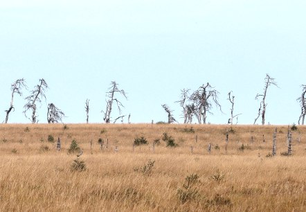 Wanderung Hohes Venn, &copy; Rainer Faymonville
