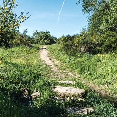 Friday Walk, &copy; Frank Wiesen