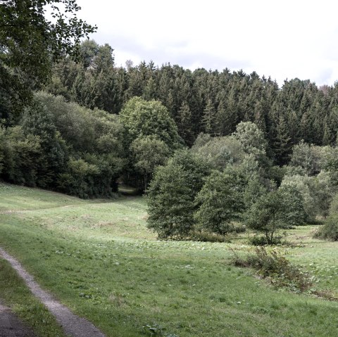 Avontuurlijke wandeling "Zon, maan en sterren, © Nordeifel Tourismus GmbH