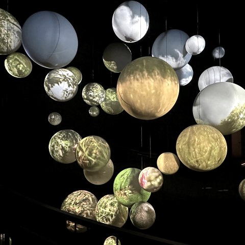 Wildnis(t)r&auml;ume