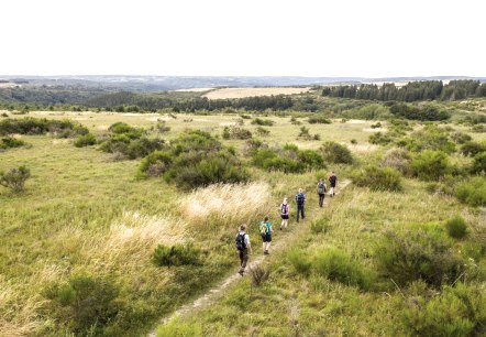 Dreiborner Hochfläche, © Nationalpark Eifel - Dominik Ketz