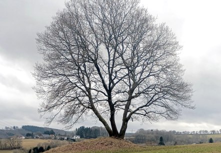 Wanderung nach Kall, &copy; Rainer Faymonville