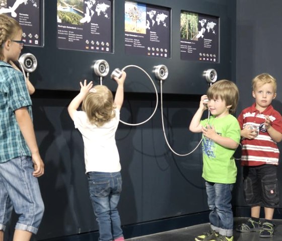 Entdeckerstationen, &copy; Nationalpark Eifel