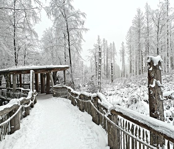 Wilder Weg im Schnee, © Nationalpark Eifel, A. Kockelmann