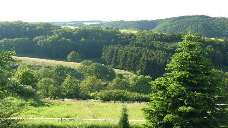 Eine grüne Landschaft mit sanften Hügeln und dichten Wäldern. Im Vordergrund steht ein großer Baum, der die natürliche Umgebung betont.