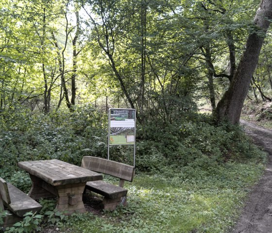 Rastplatz im Wald mit Holztisch und Bänken, daneben ein Informationsschild. Ein Waldweg führt rechts entlang, umgeben von dichtem Grün., © Nordeifel Tourismus