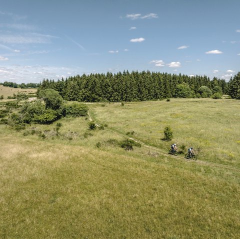Blick auf die weite Dreiborner Hochfl&auml;che, &copy; Eifel Tourismus, Dennis Stratmann