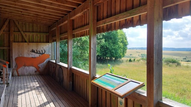 Eine Aussichtshütte aus Holz mit großen Fenstern und einem kunstvollen Elchdesign an der Wand. Draußen ist eine grüne Landschaft mit Bäumen und einem klaren Himmel zu sehen.