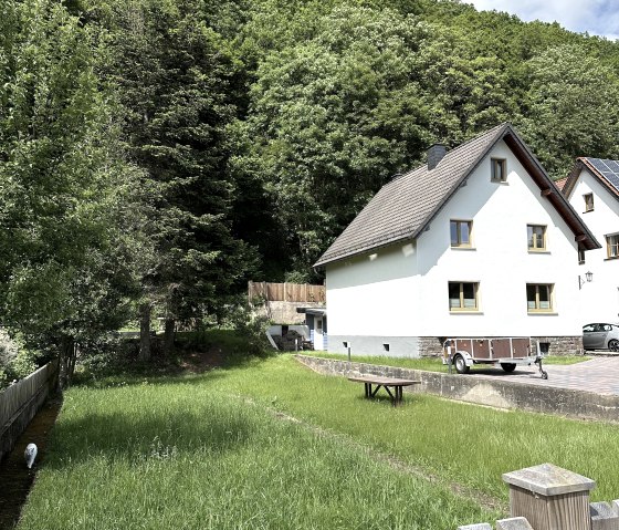 Ginkgo Biloba 05-2024-3, &copy; Nordeifel Tourismus GmbH & Ferienhaus Ginko Biloba