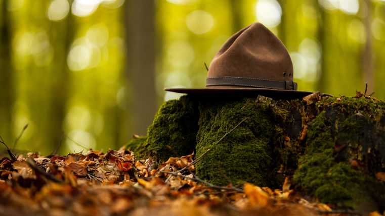 Ein brauner Hut liegt auf einem moosbedeckten Baumstumpf im Wald. Die Umgebung ist bedeckt mit bunten Herbstblättern.