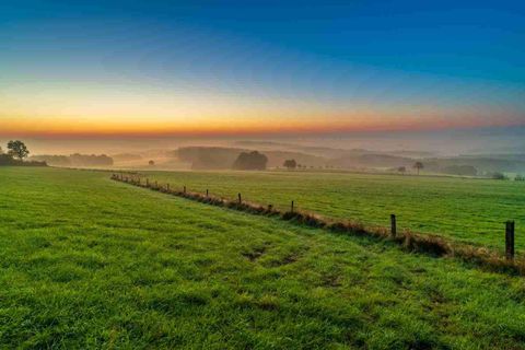 Ein ruhiges Landschaftsbild mit saftigem grünen Gras und einem sanften Morgennebel. Der Himmel zeigt eine schöne Farbveränderung von orange zu blau.