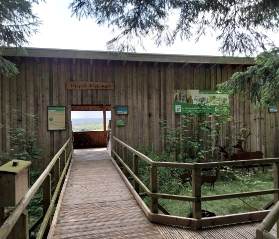 Holzstege