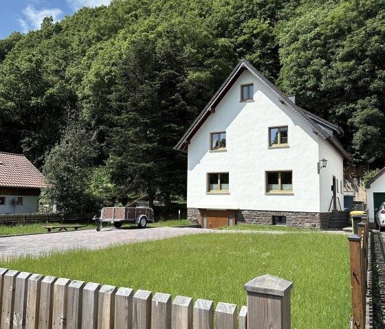 GinkgoBiloba 05-2024, &copy; Nordeifel Tourismus GmbH & Ferienhaus Ginko Biloba