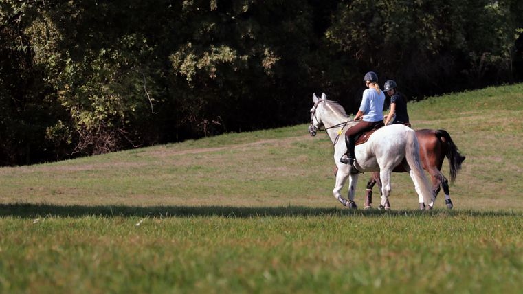Twee ruiters op paarden genieten van een rit in het groen. Het weiland is uitgestrekt en omringd door bomen.
