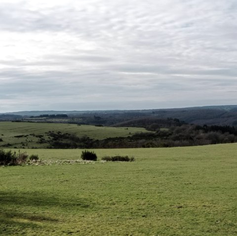 Plateau de Dreiborn, © Seelsorge in Nationalpark Eifel und Vogelsang
