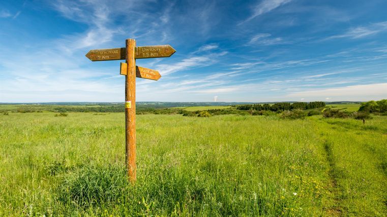 Ein Wegweiser steht in einer grünen Wiese unter einem blauen Himmel. Der Weg führt in verschiedene Richtungen.