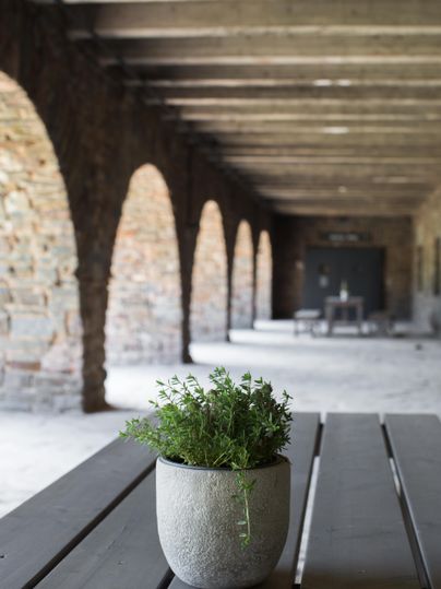 Ein hübscher Raum mit Steinsäulen und einem langen Holztisch. In der Mitte steht ein Topf mit grünen Pflanzen.