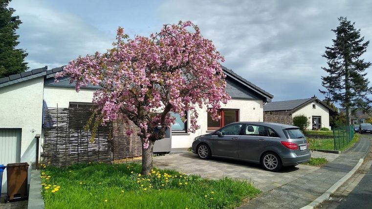 Ein Haus mit einem blühenden Kirschbaum im Vordergrund. Ein graues Auto parkt auf der Einfahrt.