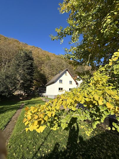 Ein helles Haus umgeben von Bäumen und üppigem Grün. Der klare blaue Himmel strahlt im Hintergrund.