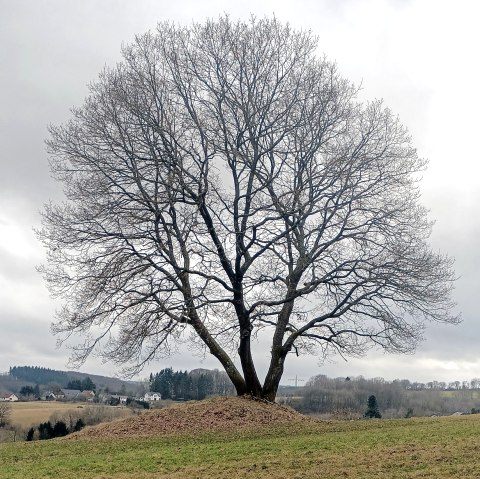 Wanderung nach Kall, &copy; Rainer Faymonville