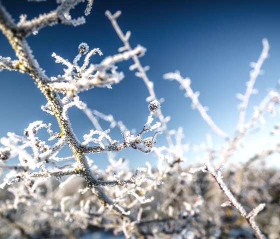Glühweinwanderung, © Frank Wiesen