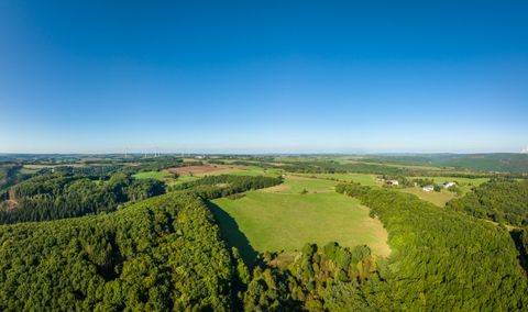 Eine weite Landschaft mit grünen Wäldern und Feldern unter einem klaren blauen Himmel. Einige Gebäude sind im Hintergrund sichtbar.