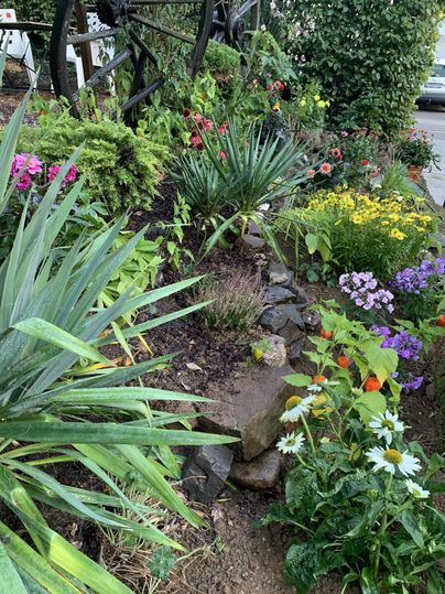 Ein bunter Garten mit verschiedenen Blumen und Pflanzen. Durch Steine ​​eingefasste Beete schaffen eine natürliche Atmosphäre.