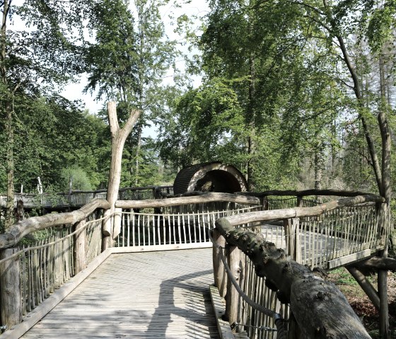 Passerelle en bois, © Nationalpark Eifel, J. Dörstel