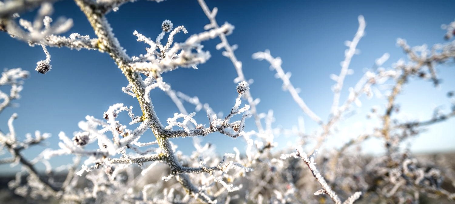 Glühweinwanderung, © Frank Wiesen