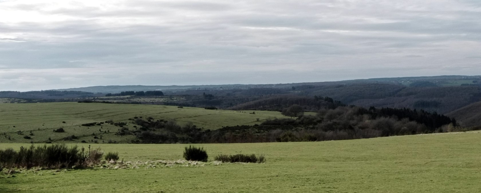 Dreiborner Hochfl&auml;che, &copy; Seelsorge in Nationalpark Eifel und Vogelsang