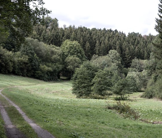 Erlebniswanderung "Sonne, Mond und Sterne", © Nordeifel Tourismus GmbH