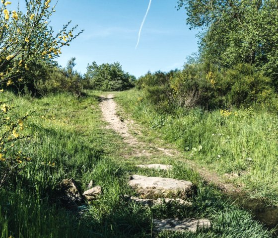 Friday Walk, &copy; Frank Wiesen